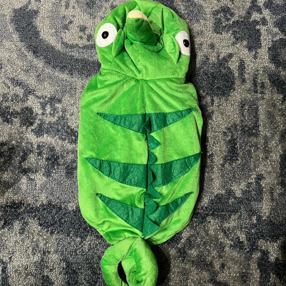 Custom Green Chameleon Pascal Rapunzel Dog Costume